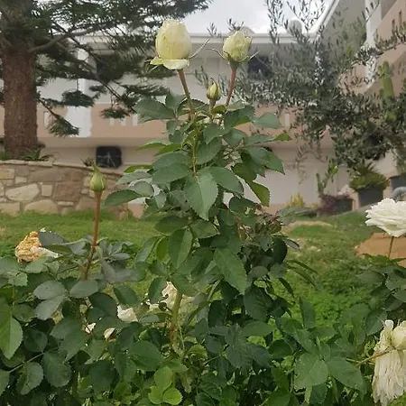 Vasilis 2 Apartmán *