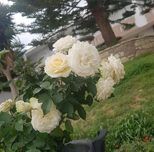 Apartman Vasilis 2 Kéfalosz