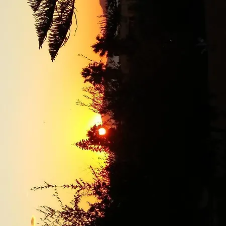 Vasilis 2 * Kéfalos